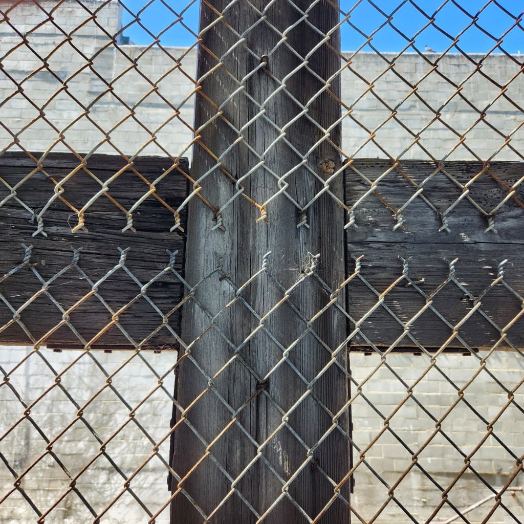 From The Bible&nbsp;App…