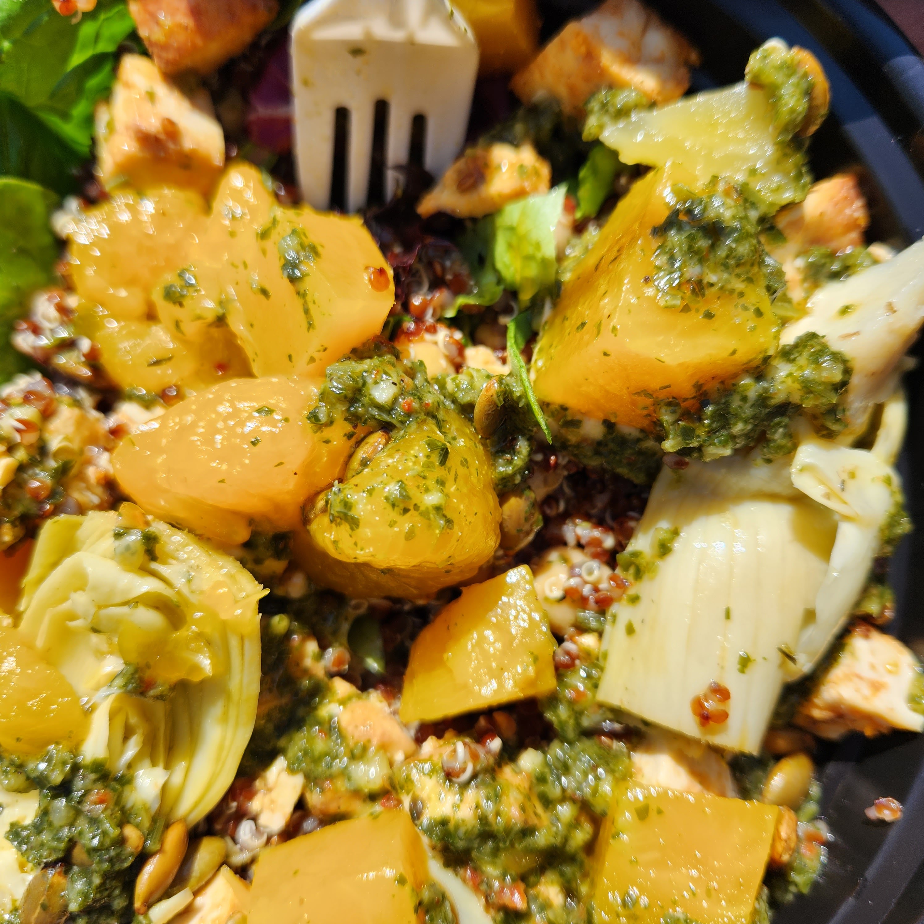 This image has an empty alt attribute; its file name is 20230923_131405.jpg