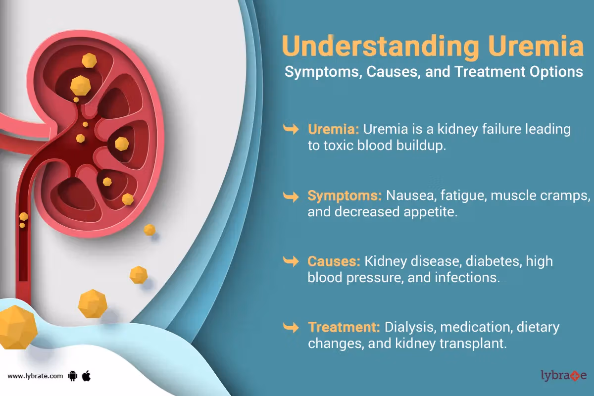 How hot is it…&nbsp;?